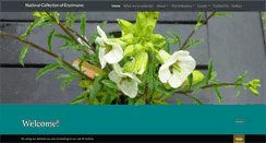 Desktop Screenshot of erysimums.onesuffolk.net